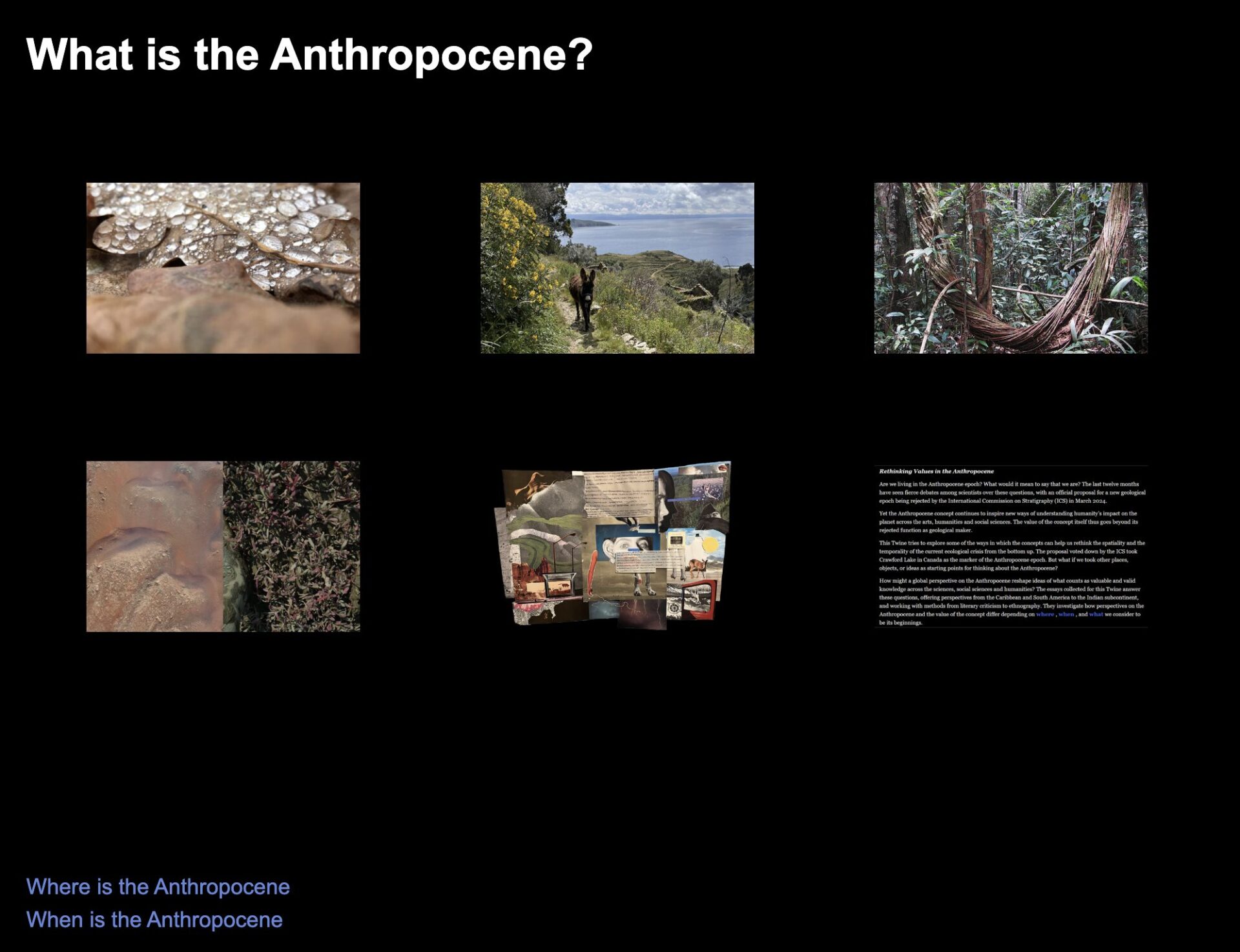 Rethinking Values in the Anthropocene